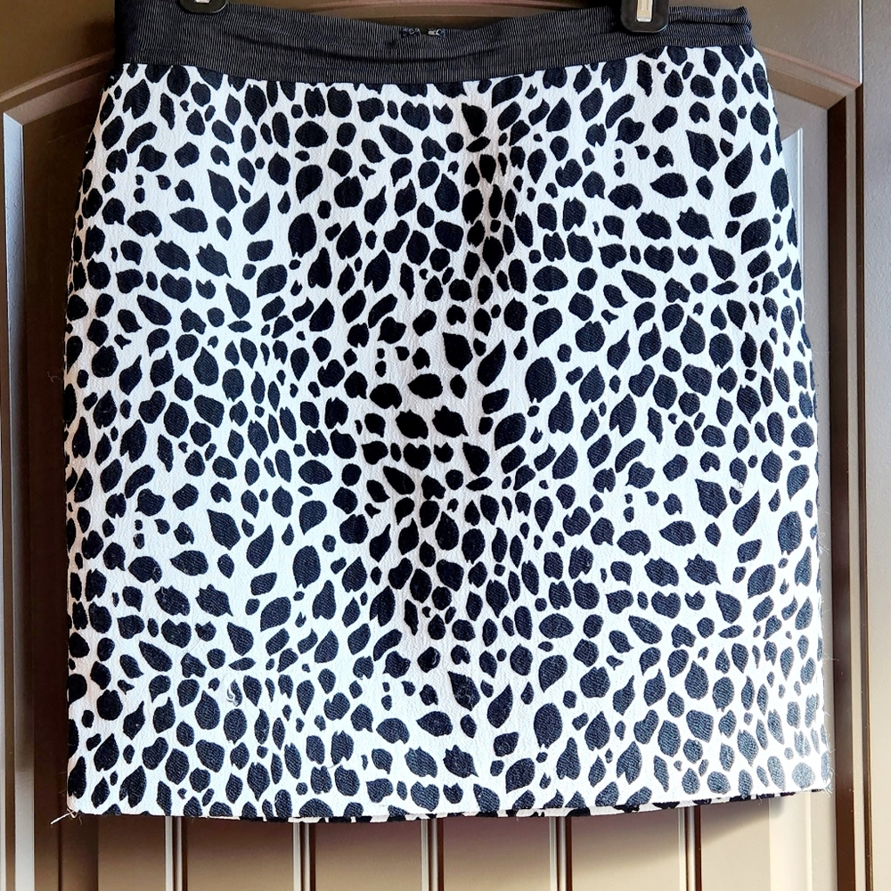 Ann Taylor Skirt (Lined)